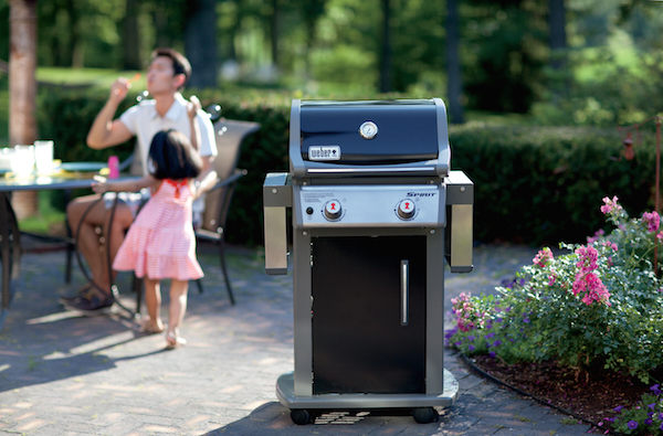 Weber Grill - Things to Look for in a Grill
