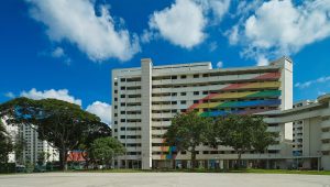 Block 316 with its iconic rainbow mural at Hougang Avenue 7