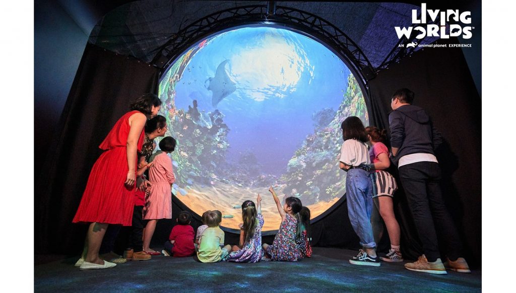 kids and grownups watching through a watertank aquarium for their family activities in singapore