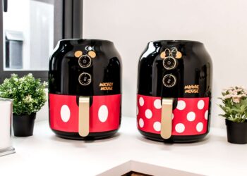 Mickey and Minnie airfryers
