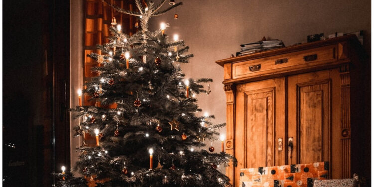 Real Christmas Tree at Home