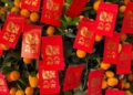 where to buy cny flowers
